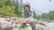 Soca marble trout july